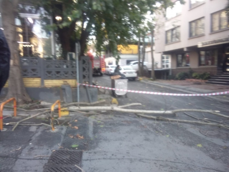 Şişli’de Aşırı Rüzgardan Kırılan Ağaç Dalı, Restoran Çatısına Düştü