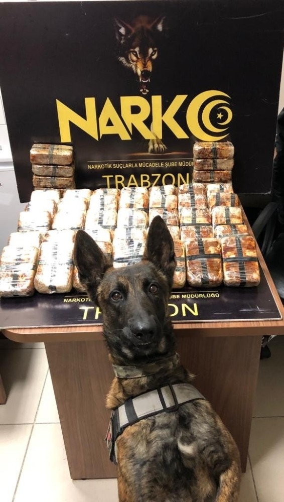 Trabzon’da 26,6 Kilogram Eroin Ele Geçirildi