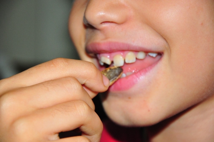 Uyarı Çocuklar İçin Geldi: ’Çekirdek Yerken Dikkat!’