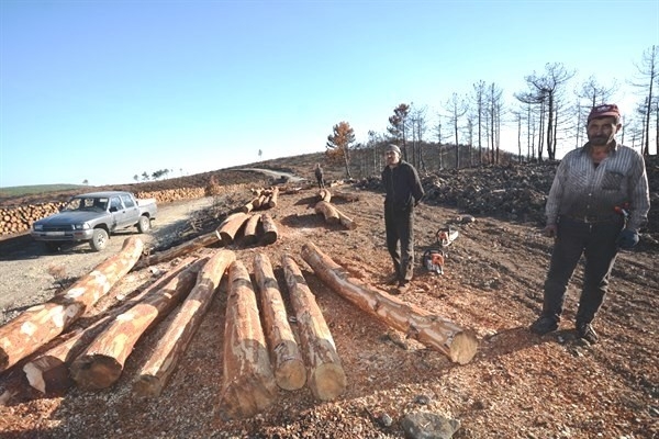 Bölge Müdürü Keskin: Yanan Alanda 300 Bin Karaçam Fidanı Toprakla Buluşturulacak