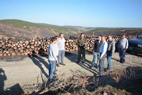 Bölge Müdürü Keskin: Yanan Alanda 300 Bin Karaçam Fidanı Toprakla Buluşturulacak