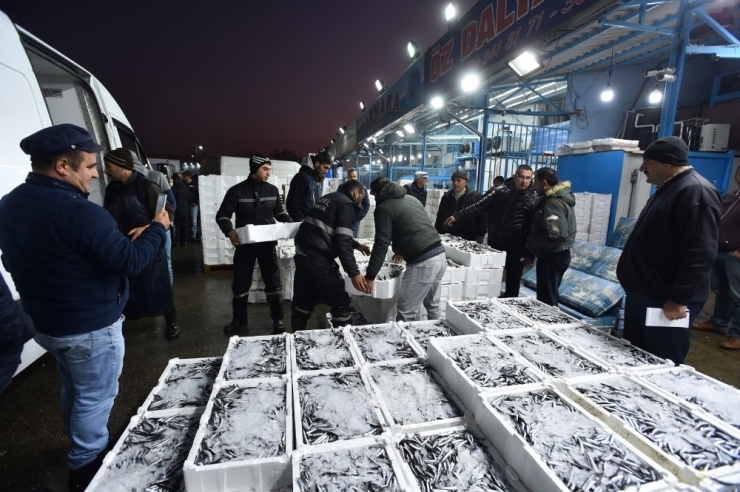 Başkentlilerin Gözdesi Hamsi