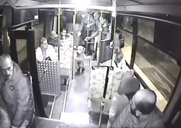 Halk Otobüsüne Binen Sokak Köpeği Yolcuların Maskotu Oldu