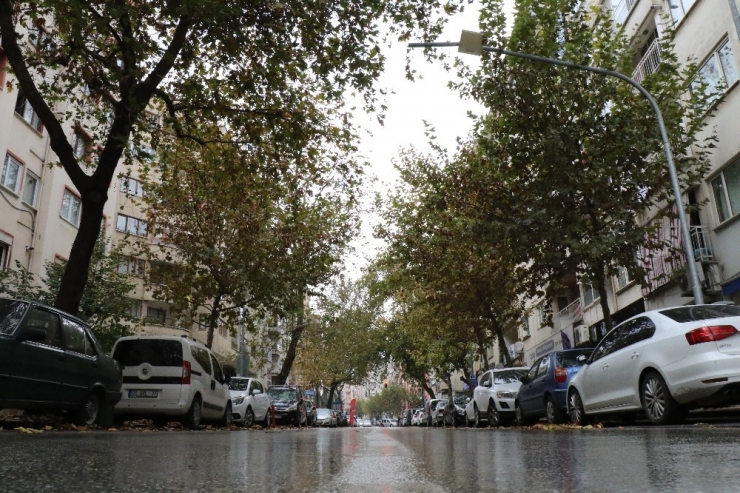 Denizli’de Sonbahar Yerini Kış Mevsimine Bıraktı