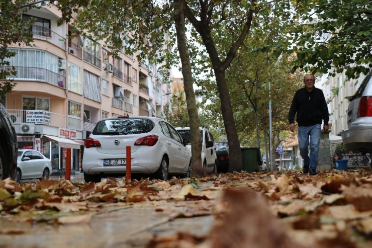 Denizli’de Sonbahar Yerini Kış Mevsimine Bıraktı