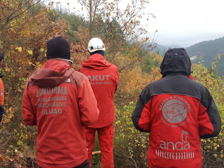 Odun Toplamaya Giden Yaşlı Adamın Cesedi Bulundu