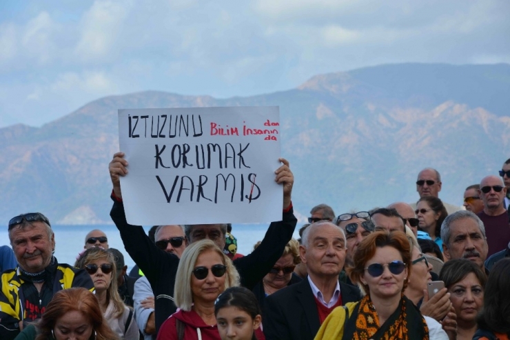 İztuzu Kumsalına Deniz Kaplumbağası Bakım Merkezi Yapılması Planına Tepki