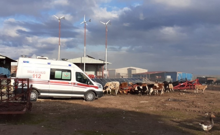 Çiftlikte Çıkan Yangın Büyümeden Kontrol Altına Alındı