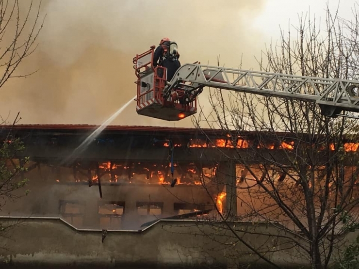 Sakarya’da Çıkan Yangında Çatı Katı Alev Alev Yandı