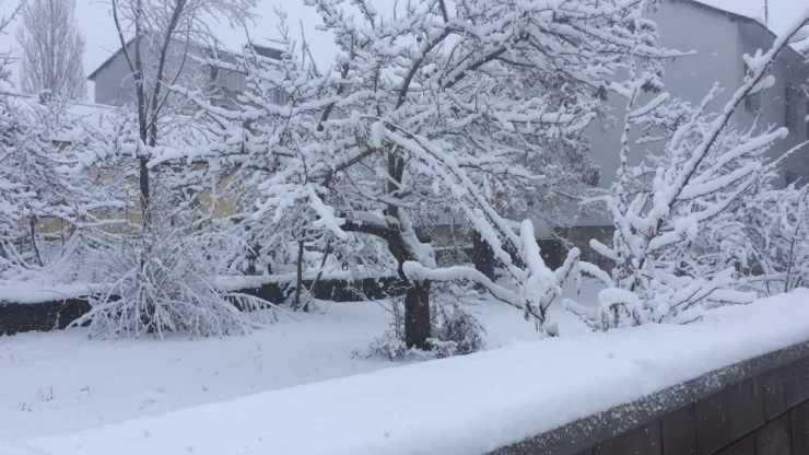 Bingöl’ün Karlıova Ve Yedisu İlçeleri Güne Karla Uyandı