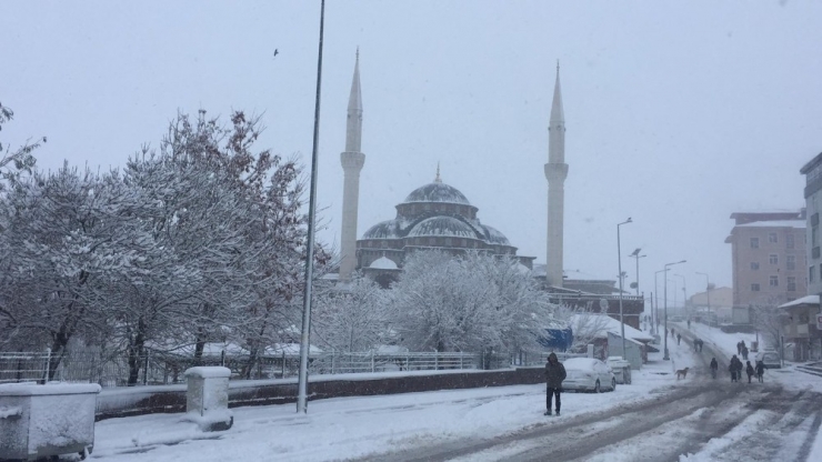 Bingöl’ün Karlıova Ve Yedisu İlçeleri Güne Karla Uyandı
