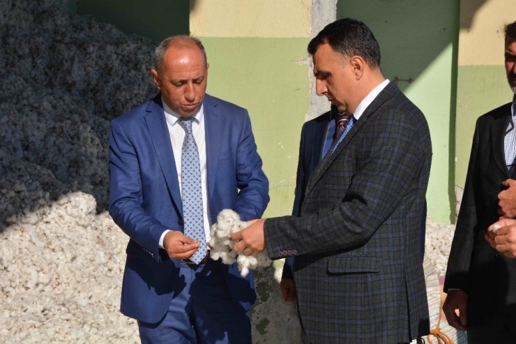 Çırçır Fabrikasında ’Beyaz Altın’ Mesaisi