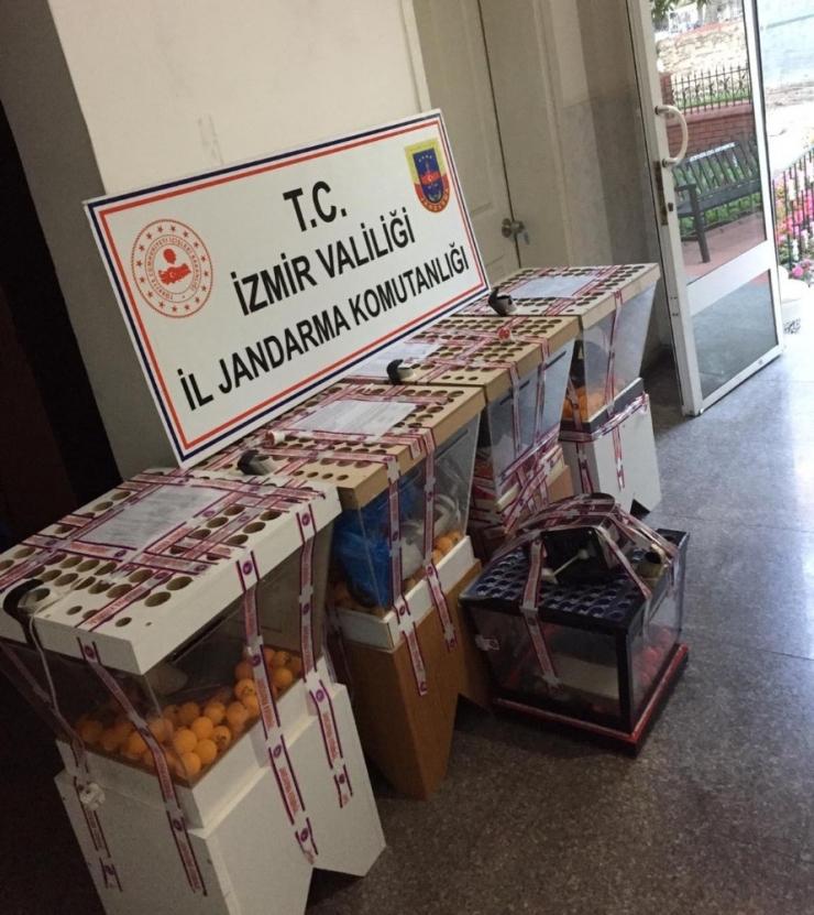 İzmir’de Çay Ocaklarına Kumar Baskını