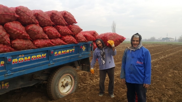 Patates Üreticisi Fiyattan Memnun Değil