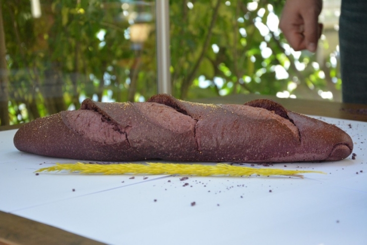 Malatya’da Mor Ekmeğe İlgi Artıyor