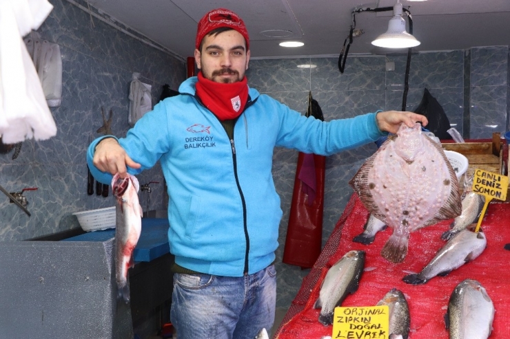 Karadeniz Hamsisi 7 Lira