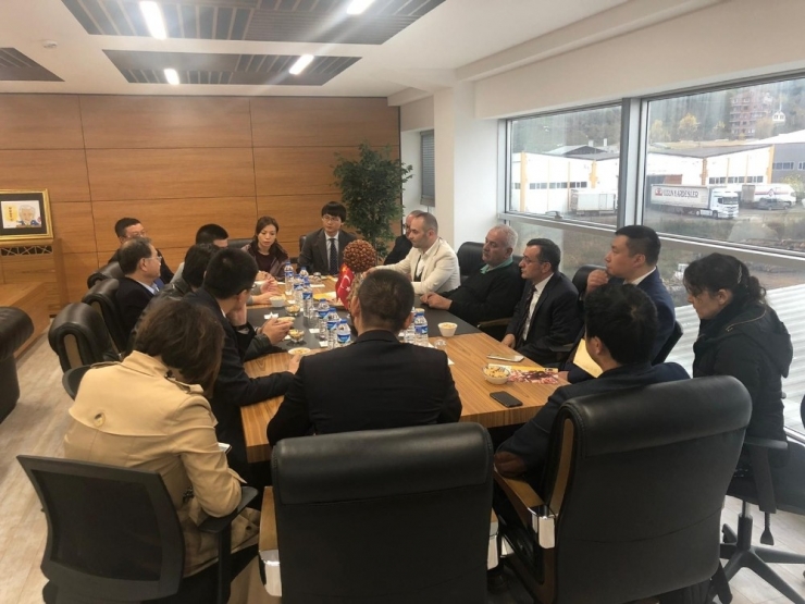 Trabzon’dan Yapılan Fındık İhracatında Rekor Artış