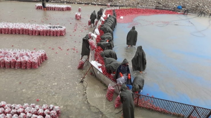 Kadınların Soğuk Suda Ekmek Mücadelesi