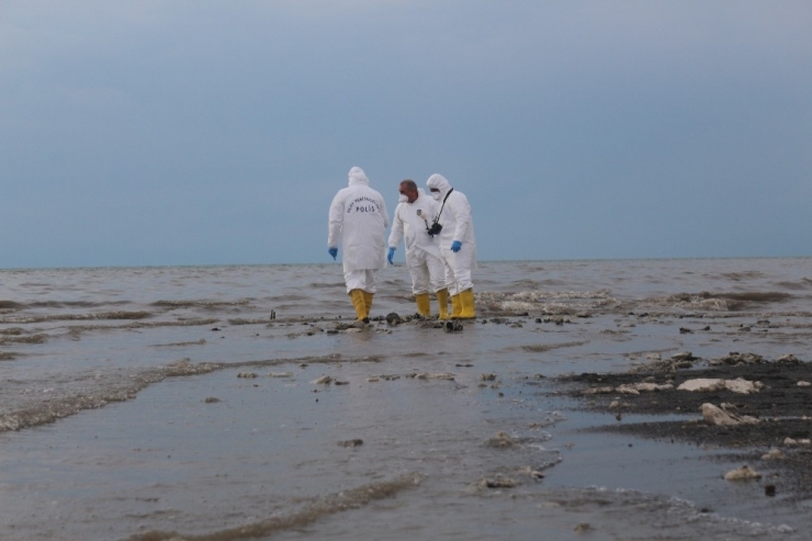 Van Gölü’nde Tüyler Ürperten Olay
