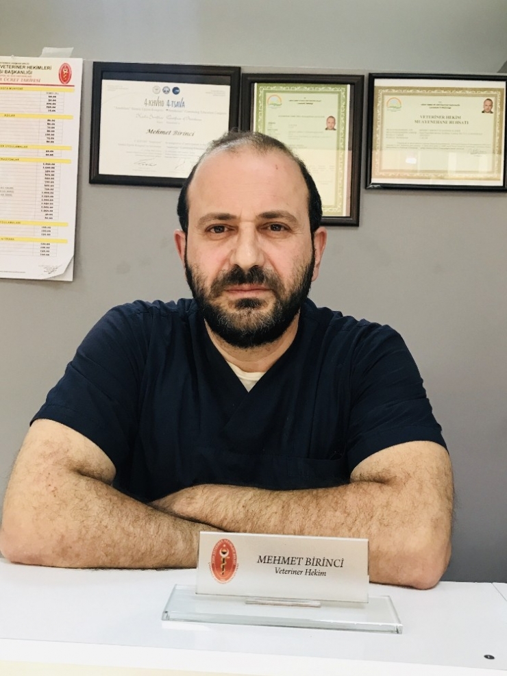 Ekinokok Parazitine Dikkat