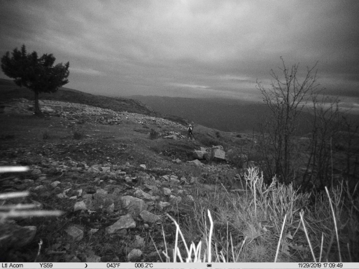 Sit Alanında Dedektörle Define Ararken Jandarmanın Fotokapanına Yakalandılar