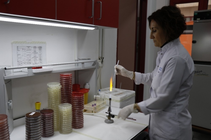 Uzmanından Konserve Uyarısı: "Konservelerin Kapaklarının İçe Bombe Olması Lazım"