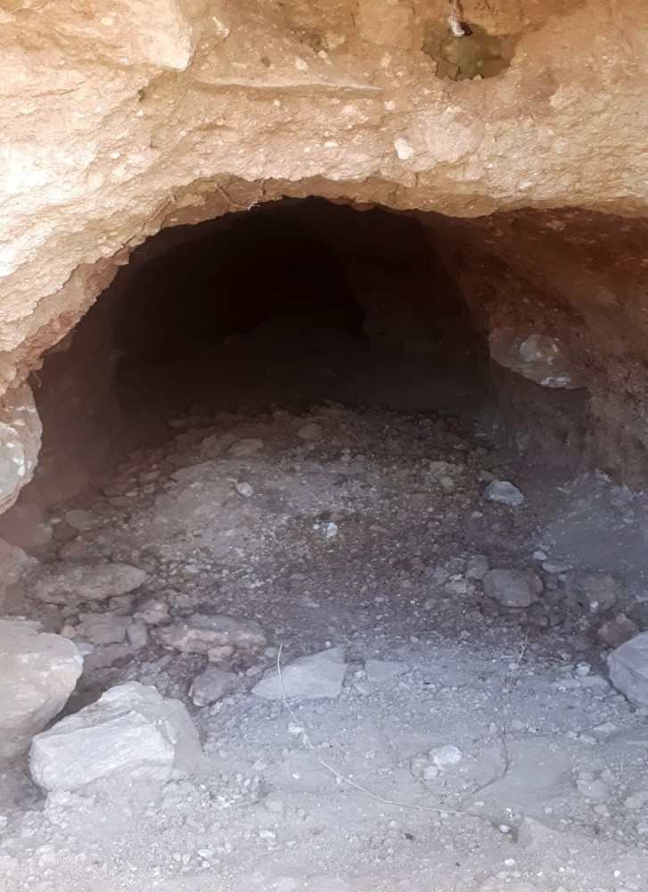 Define Avcıları Suçüstü Yakalandı