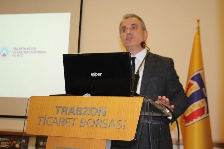 Fındıkta Verim Ve Kaliteyi Artırma Projesi