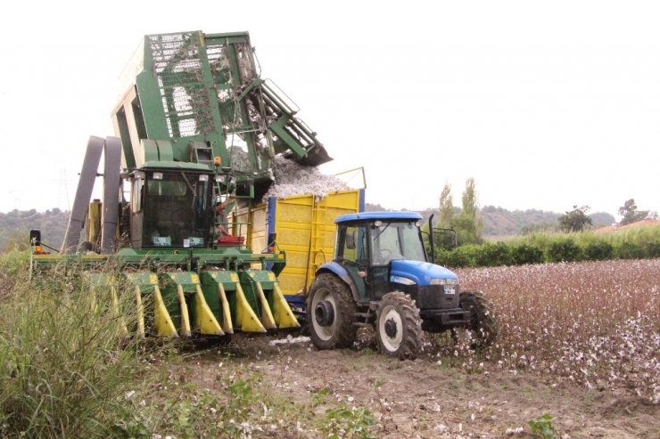 ’Beyaz Altın’da Bereketli Hasat