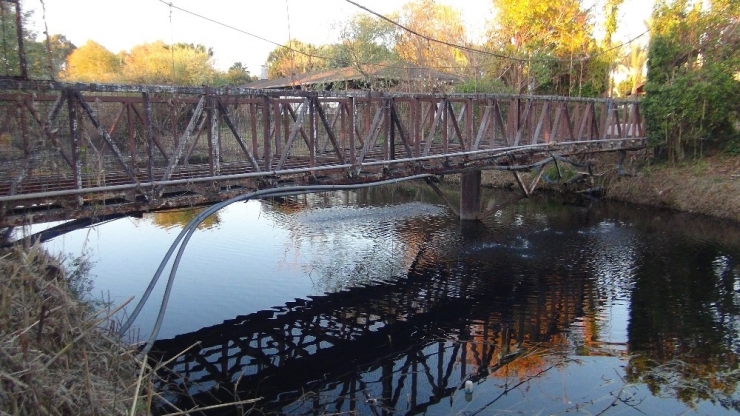 Oksijensiz Kalan Derede Balıkların Can Çekiştiği Anlar Böyle Görüntülendi