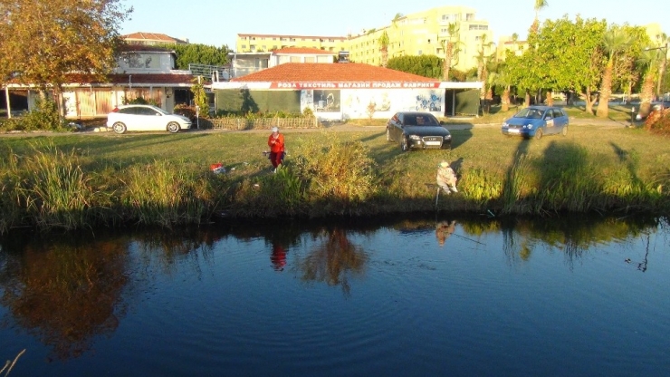 Oksijensiz Kalan Derede Balıkların Can Çekiştiği Anlar Böyle Görüntülendi