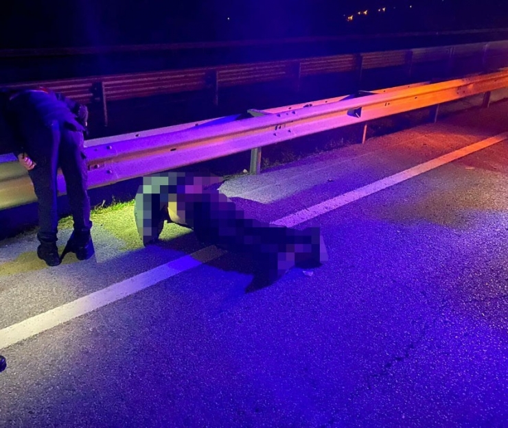 Yolun Karşısına Geçmeye Çalışırken Can Verdi