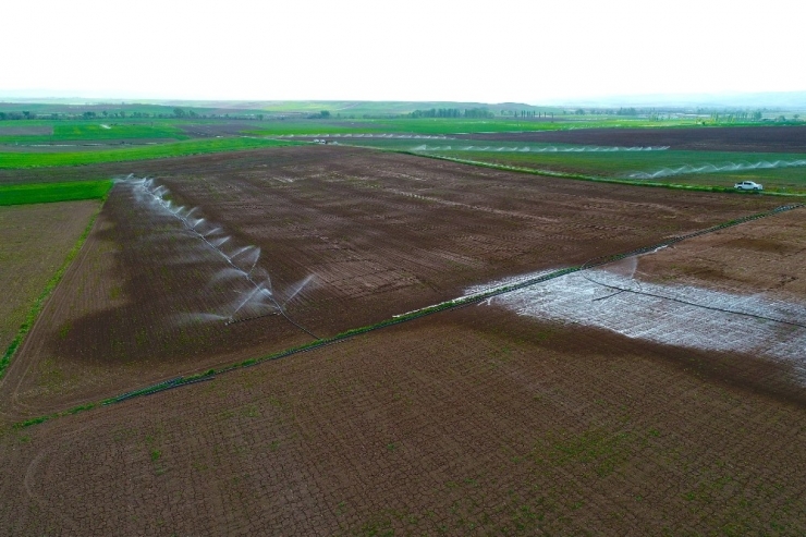 Sulu Tarımla Ülke Ekonomisine 106 Milyon Tl’lik Katkı