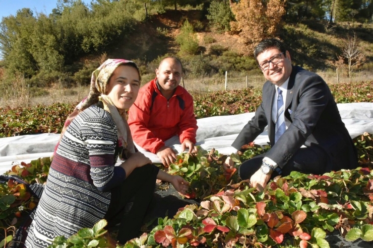 Saylak Çiftçi Ziyaretlerine Başladı
