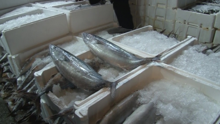 Ankara’daki Balıkçılara Gece Denetimi