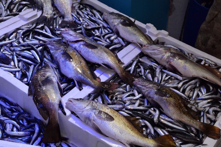 Eşkina Yeniden Tezgâhlarda