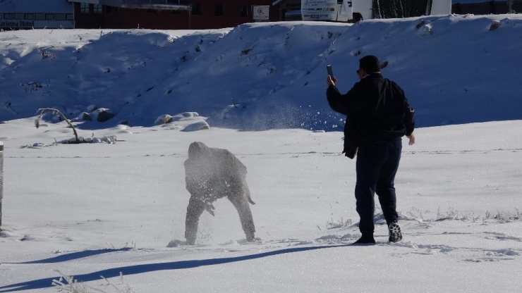 Uludağ’da Kar Kalınlığı 30 Santimetreye Ulaştı