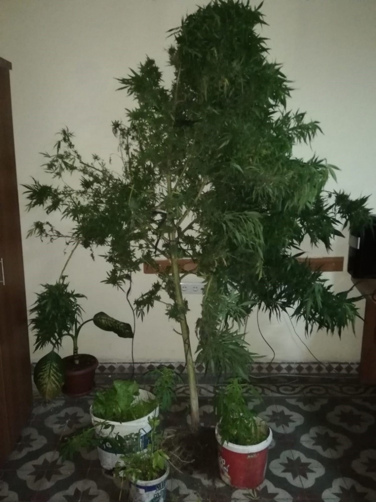 Manisa’da Uyuşturucu Operasyonu