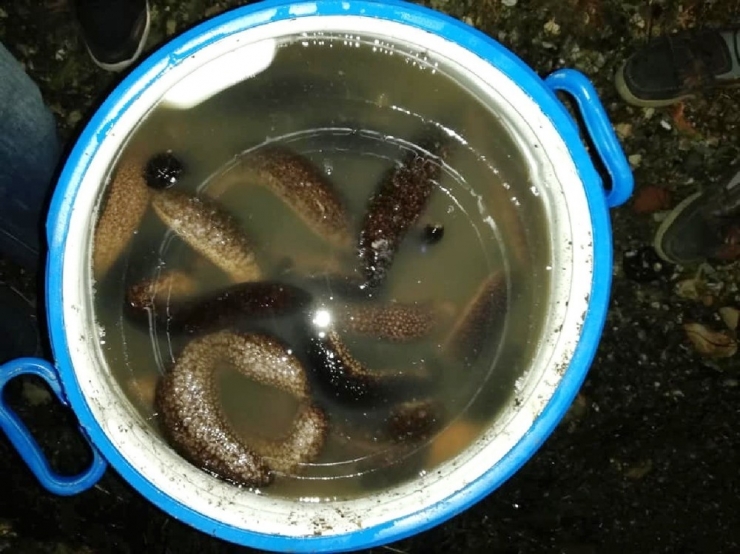 Yasa Dışı Ürünler Avcılığına 5 Bin 863 Olayda 18 Milyon Ceza