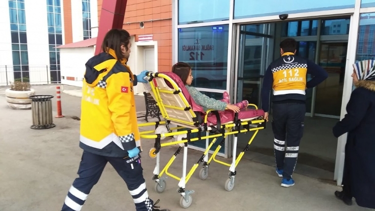 Küçük Kızı Köpek Isırdı