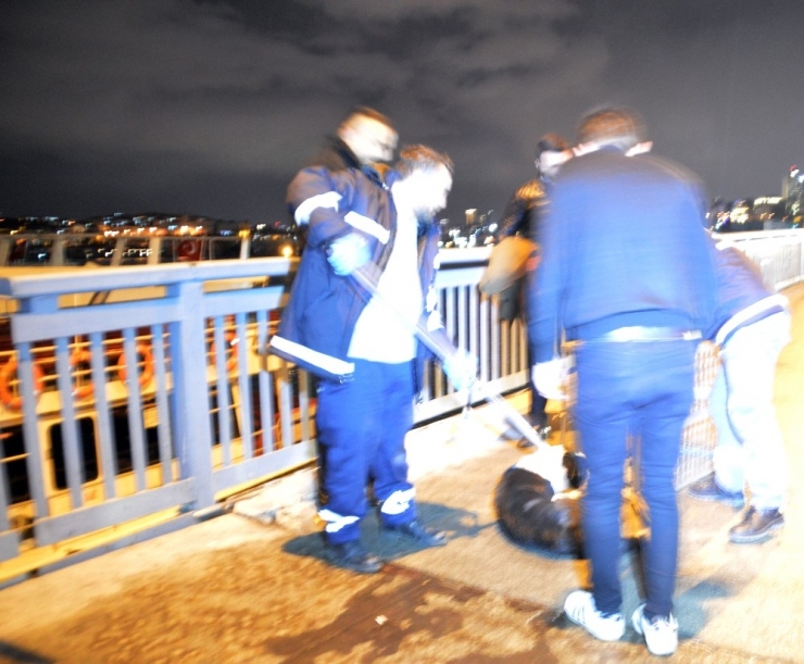 Unkapanı Köprüsü’nde Kazada Yaralanan Köpeğin İmdadına Vatandaşlar Yetişti