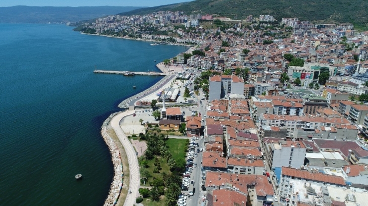 Soğutma Tesisi Kurulursa Körfezdeki Canlılık Zarar Görebilir