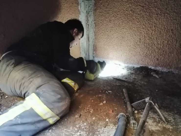 Yağmur Suyu Kanalına Sıkışan Yavru Kediyi İtfaiye Kurtardı