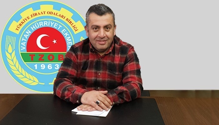 Giresun’un Fındık Yetişmeyen İlçelerinde Ceviz Geçim Kaynağı Oldu