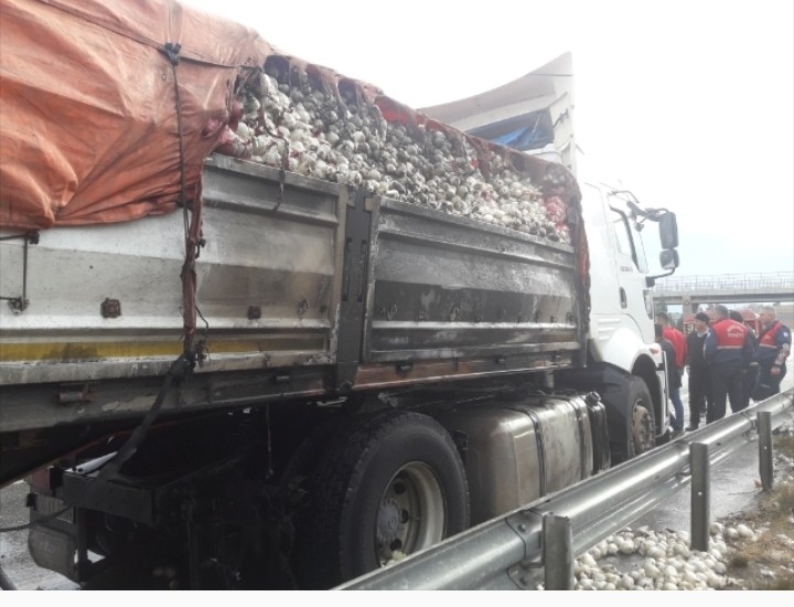 Soğan Yüklü Tırda Yangın