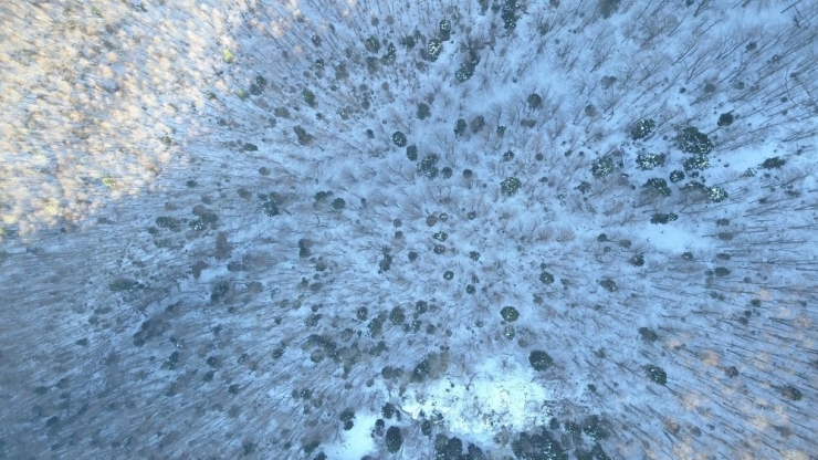 Uludağ’da Kayıp Olan İki Dağcı Drone İle Arandı