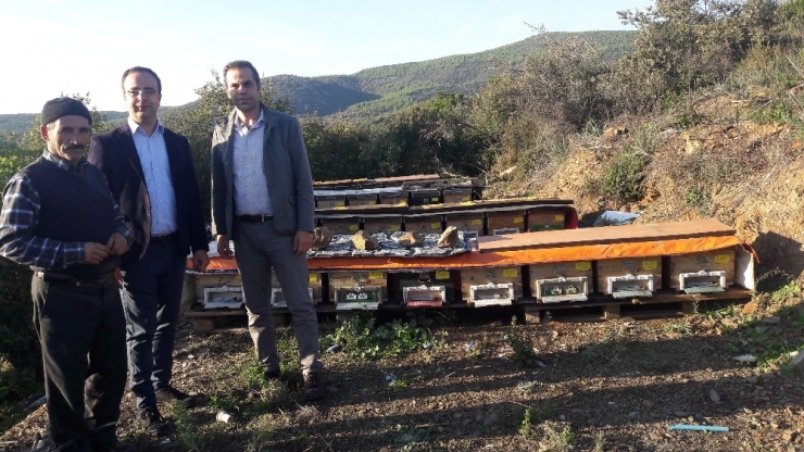 İşkur’un Desteğiyle Kovanlarını Dolduruyor