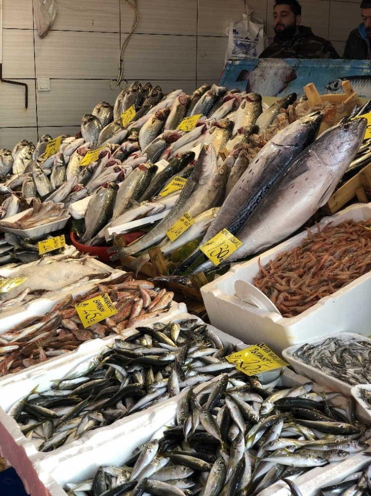 Deniz Suyu Sıcaklığı Balık Fiyatlarını Vurdu