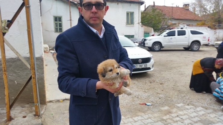 400 Lira Diye Tuttukları Ev Mezarları Oldu