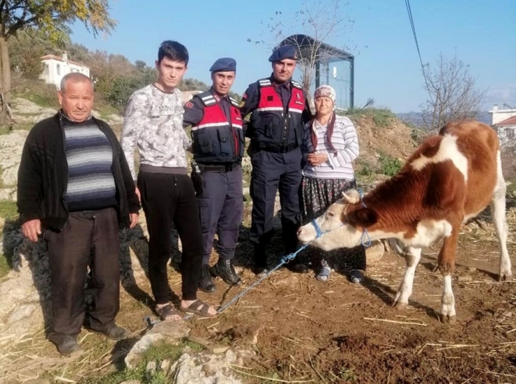 Suç Makineleri Tutuklandı